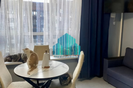 2-к. квартира, 42,2 м², 5/11 эт.